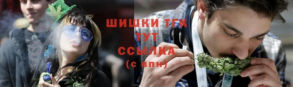 молекула духа Вязьма