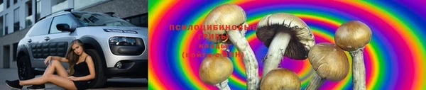 марки nbome Вяземский