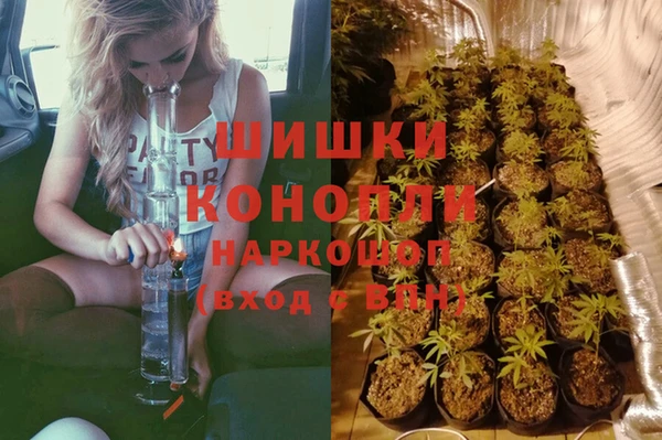 марки nbome Вяземский