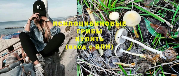 герыч Тында