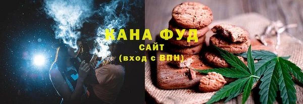 молекула духа Вязьма