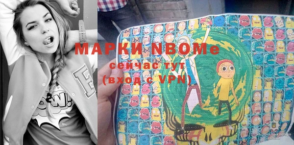 молекула духа Вязьма