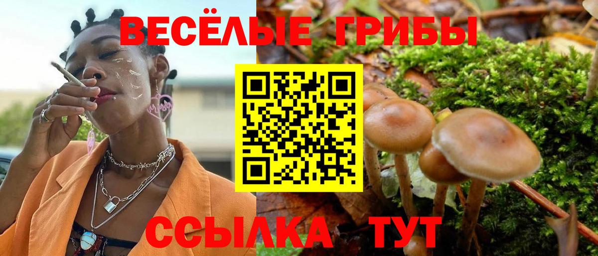 Псилоцибиновые грибы Magic Shrooms  купить закладку  Мариинск  Вход с VPN 